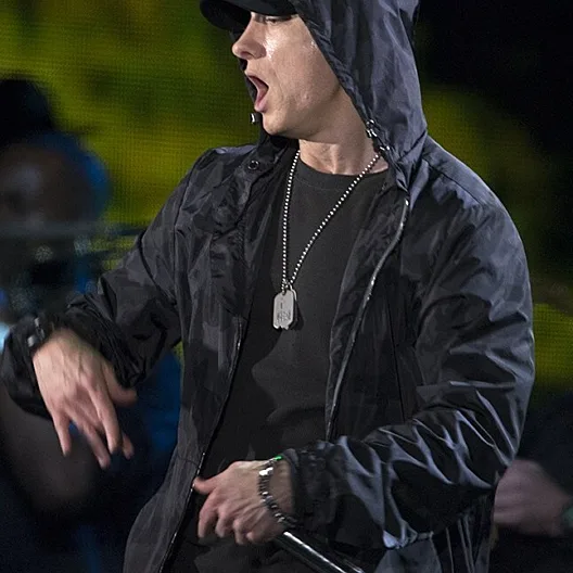 Eminem's childhood house — Warren, USA