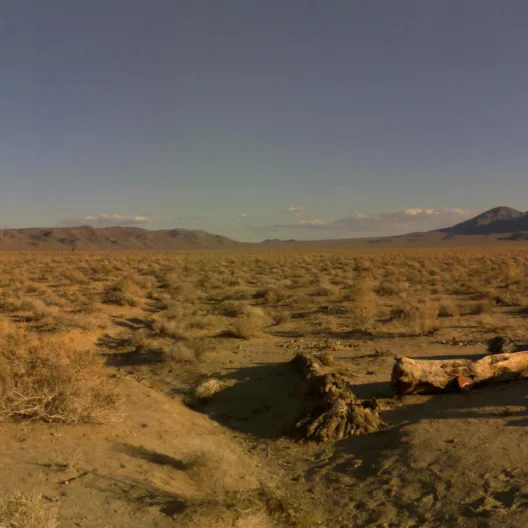 U2's Joshua Tree — Lone Pine, USA