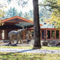 Pachyderm Studios (Where Nirvana recorded In Utero)