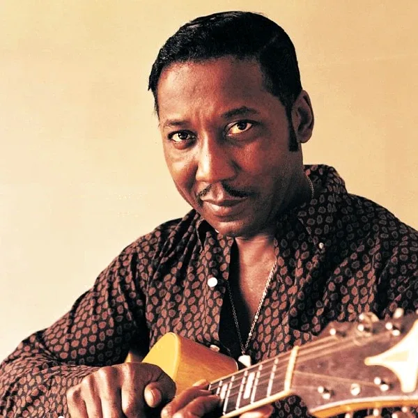 Muddy Waters